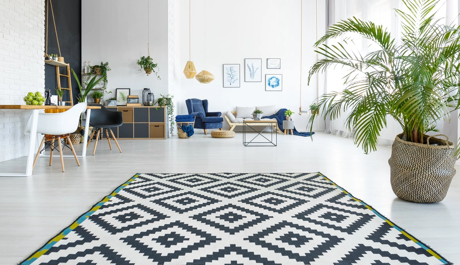 Carpet Cleaning detail 1